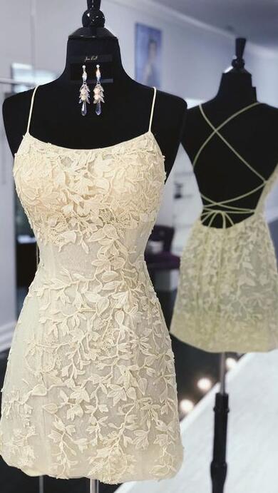 Spaghetti Straps Short Lace Evening Prom Dresses