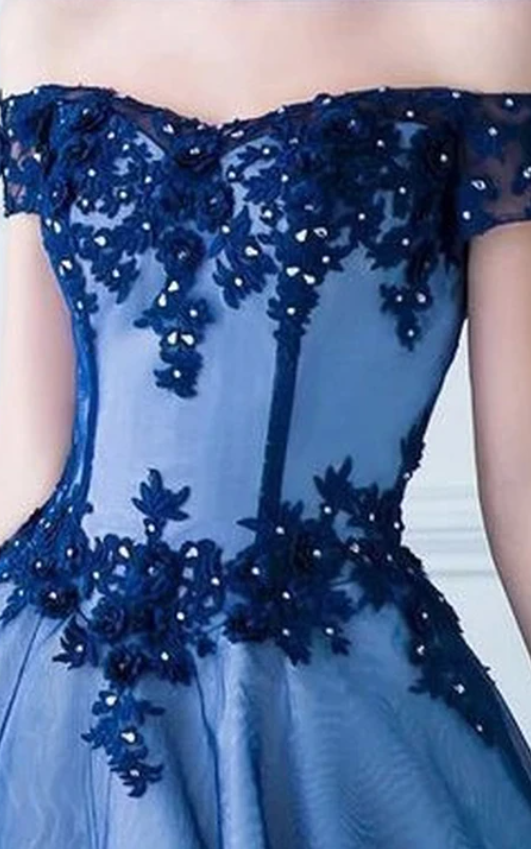 Ball Gown Long Sleeves High Neck Applique Floor-Length Tulle Prom Dresses main image 1